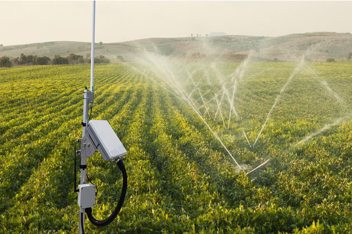 1664094832208605.jpg 5.jpg